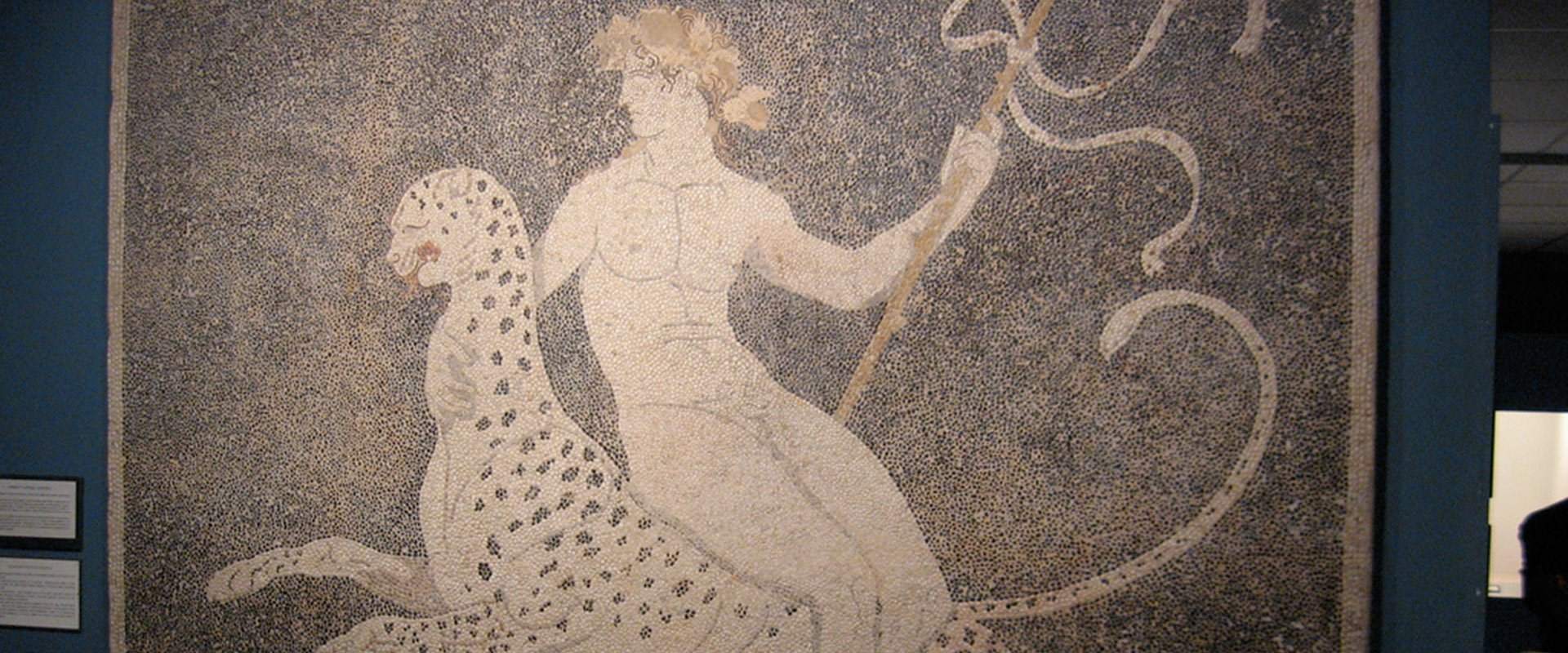 Dionysos, the Greek god of grape harvests